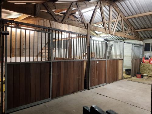 2 a 3 Paardenboxen vrij -- rijbak -- paddock -- weidegang