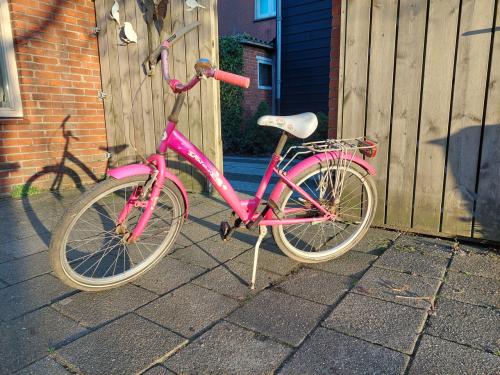 Meisjes fiets
