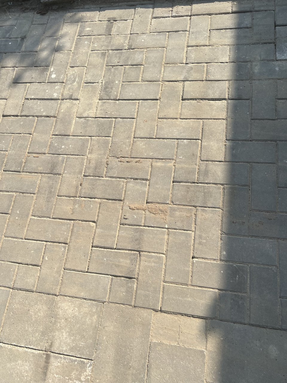 Gratis: betonklinkers en wildverband tegels van beiden ongeveer 16m2
