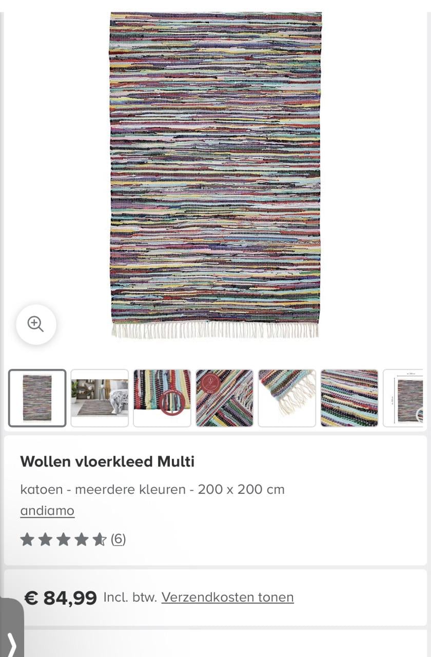 Wole Vloerkleed multi kopen 240x170 cm. Nieuwprijs €90,-