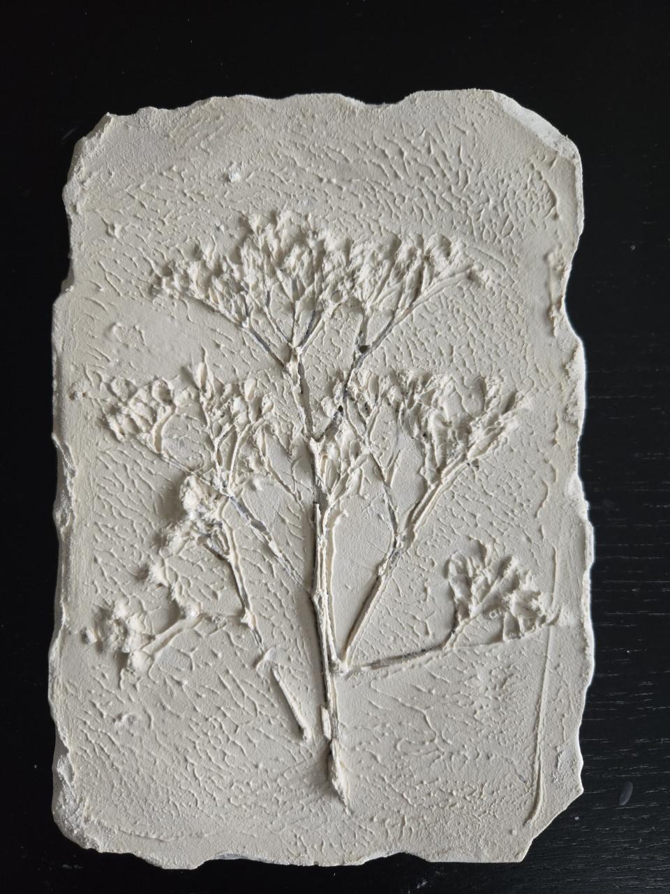 Workshop botanisch schilderijtje