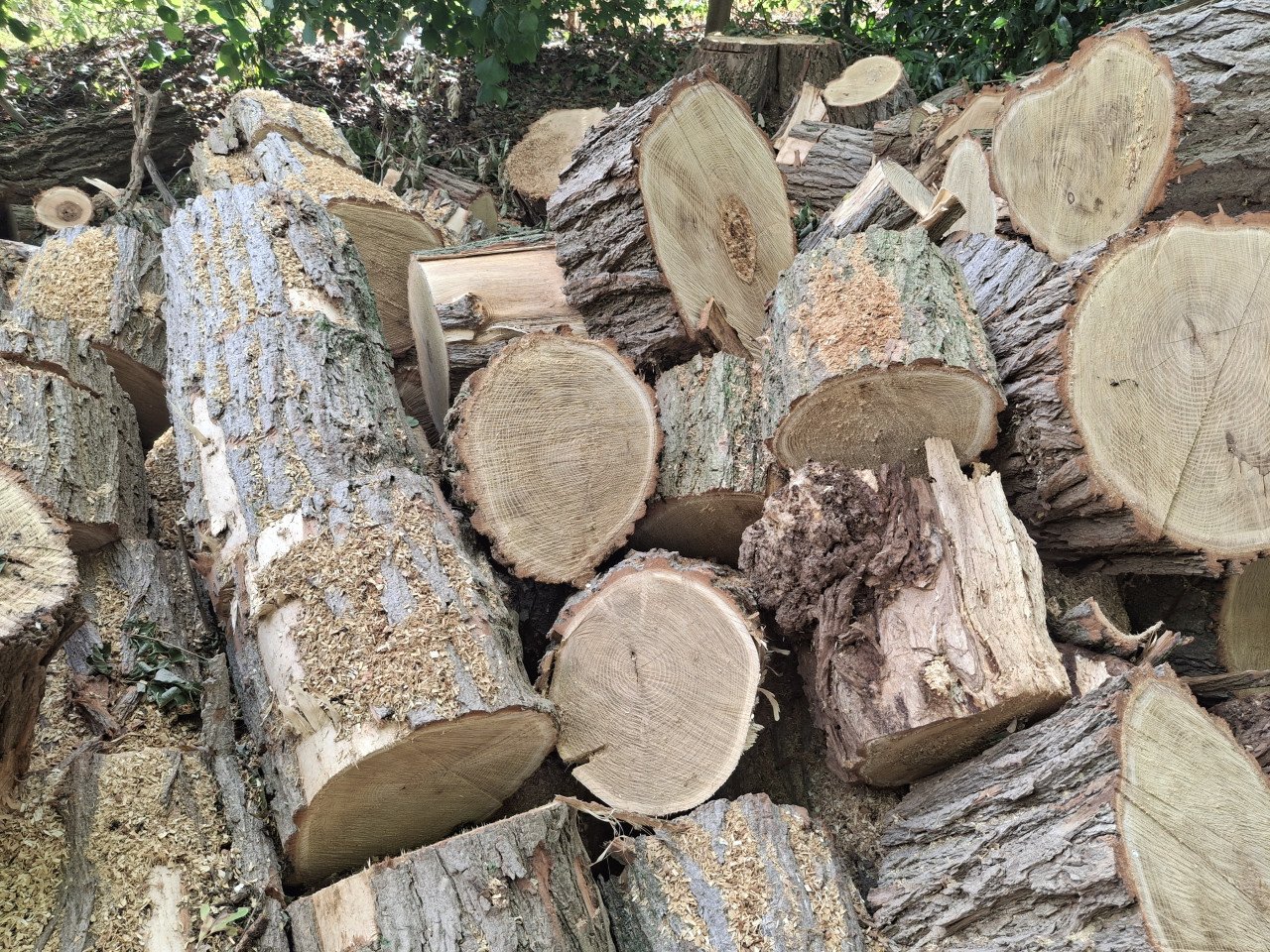 Haardhout zomeraanbieding