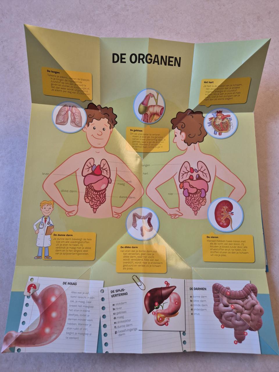 Uitvouwatlas van het menselijk lichaam