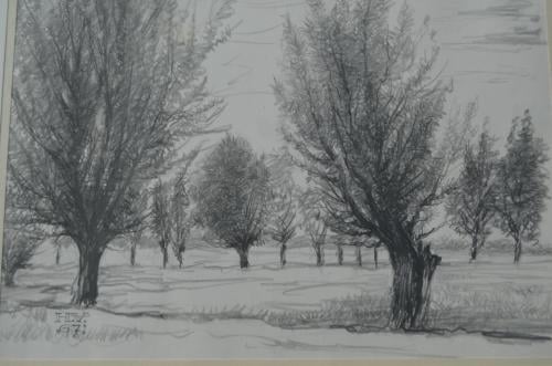 9 x Hendrik Voskuijl (1893 - 1980) potloodtek. bomen (1) o.a. Slenaken