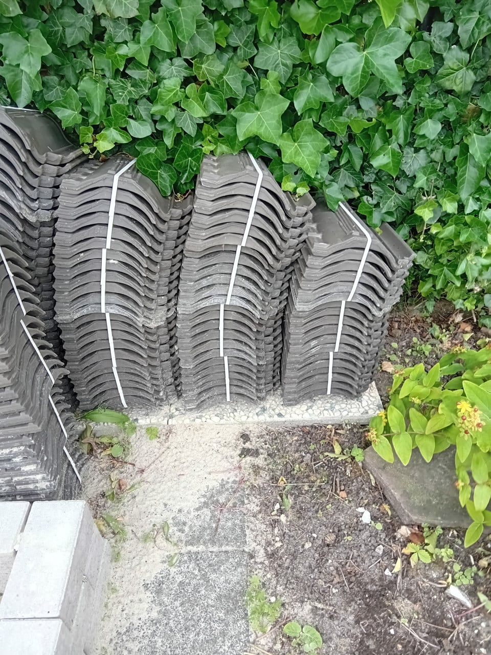 Dakpan monier 300 stuks + 6 kantpannen. nieuw.