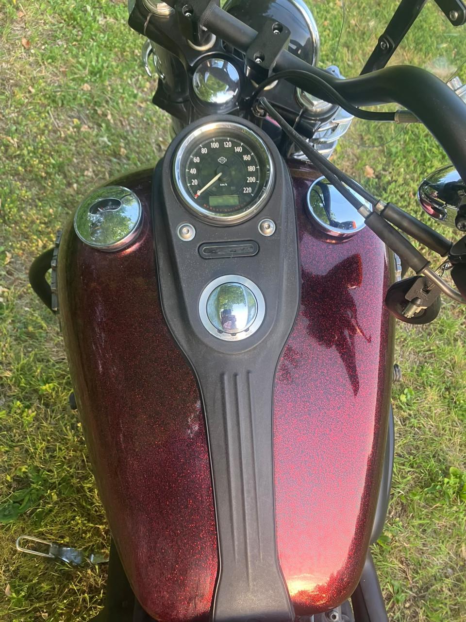 Harley Davidson Street bob 103