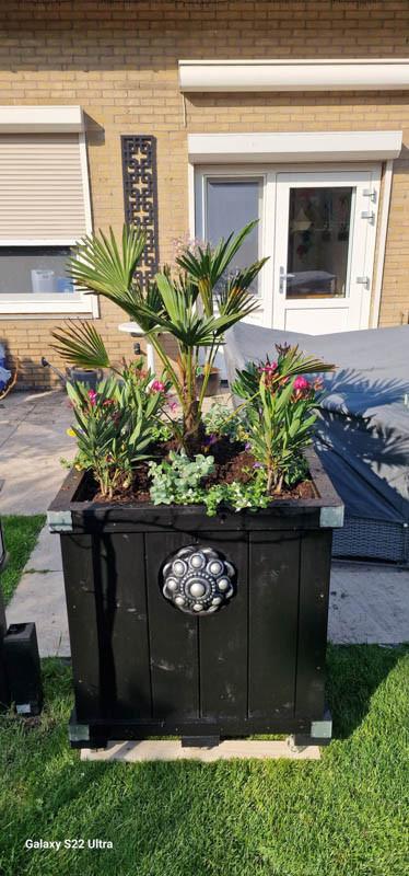 Zeeuwse knop bloembakken projecten ter inspiraties L85 x B85 x H75