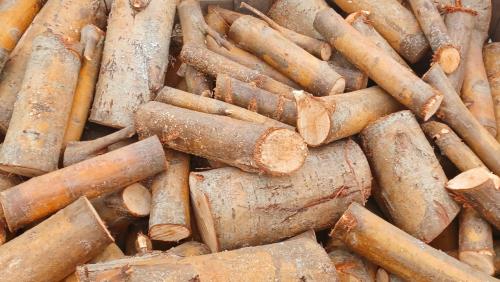 Gedroogd  direct stookbaar haardhout in dozen