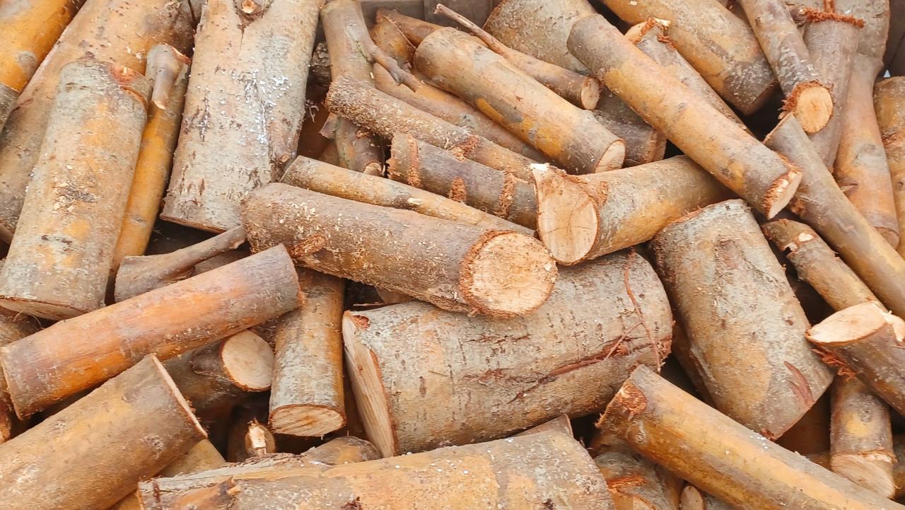 Gedroogd  direct stookbaar haardhout in dozen