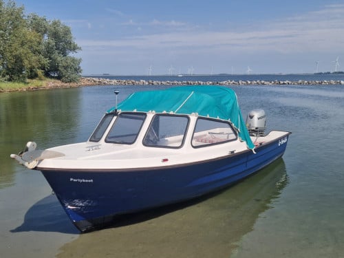 Rana 17