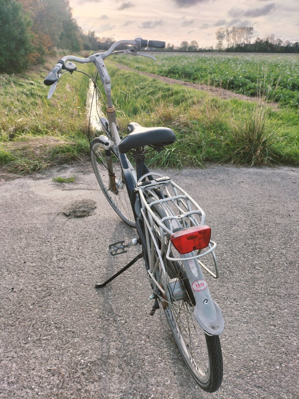 Batavus & Sparta damesfietsen