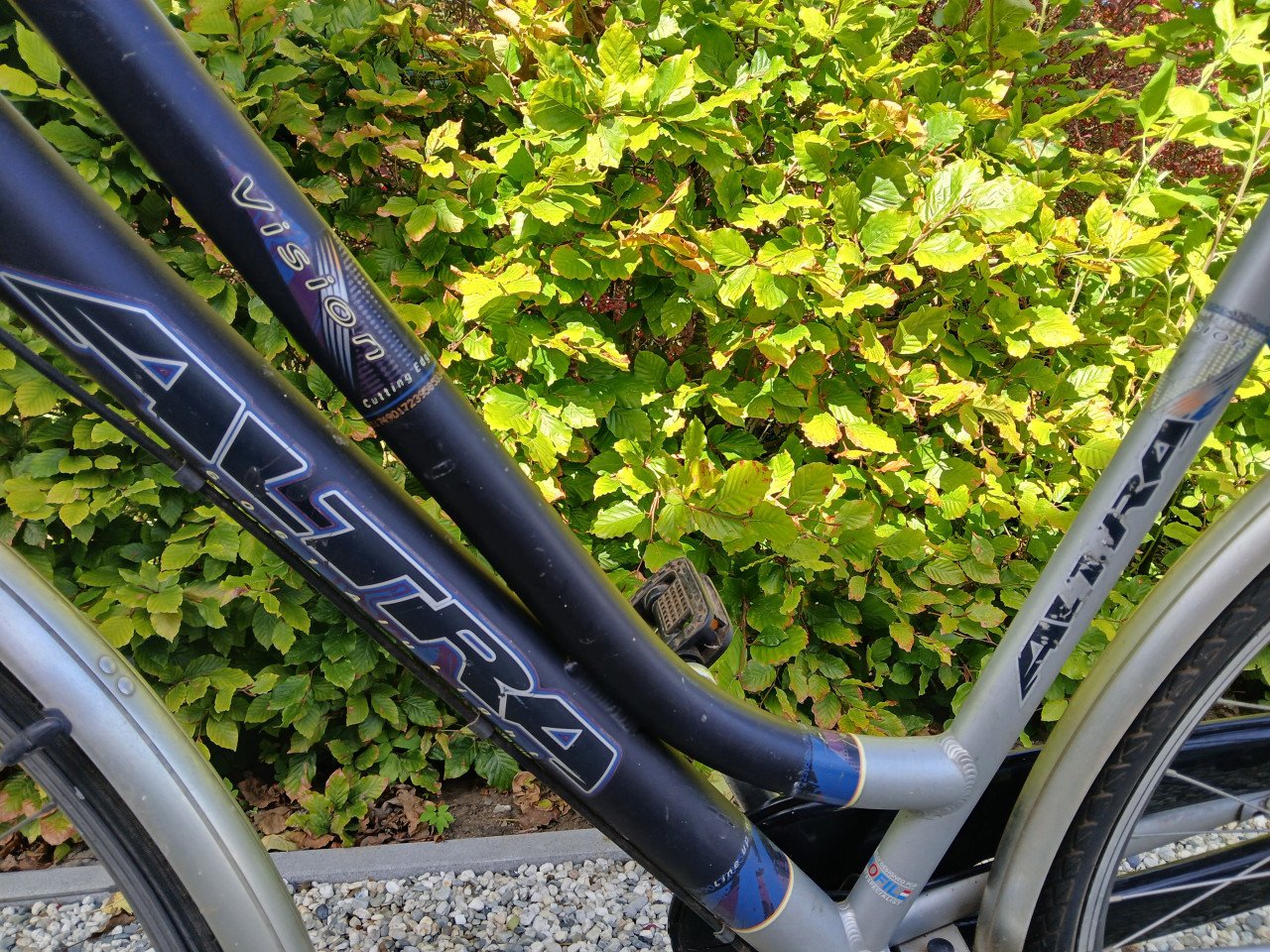 Damesfiets of meisjesfiets Altra Vision