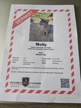 Molly vermist in domburg