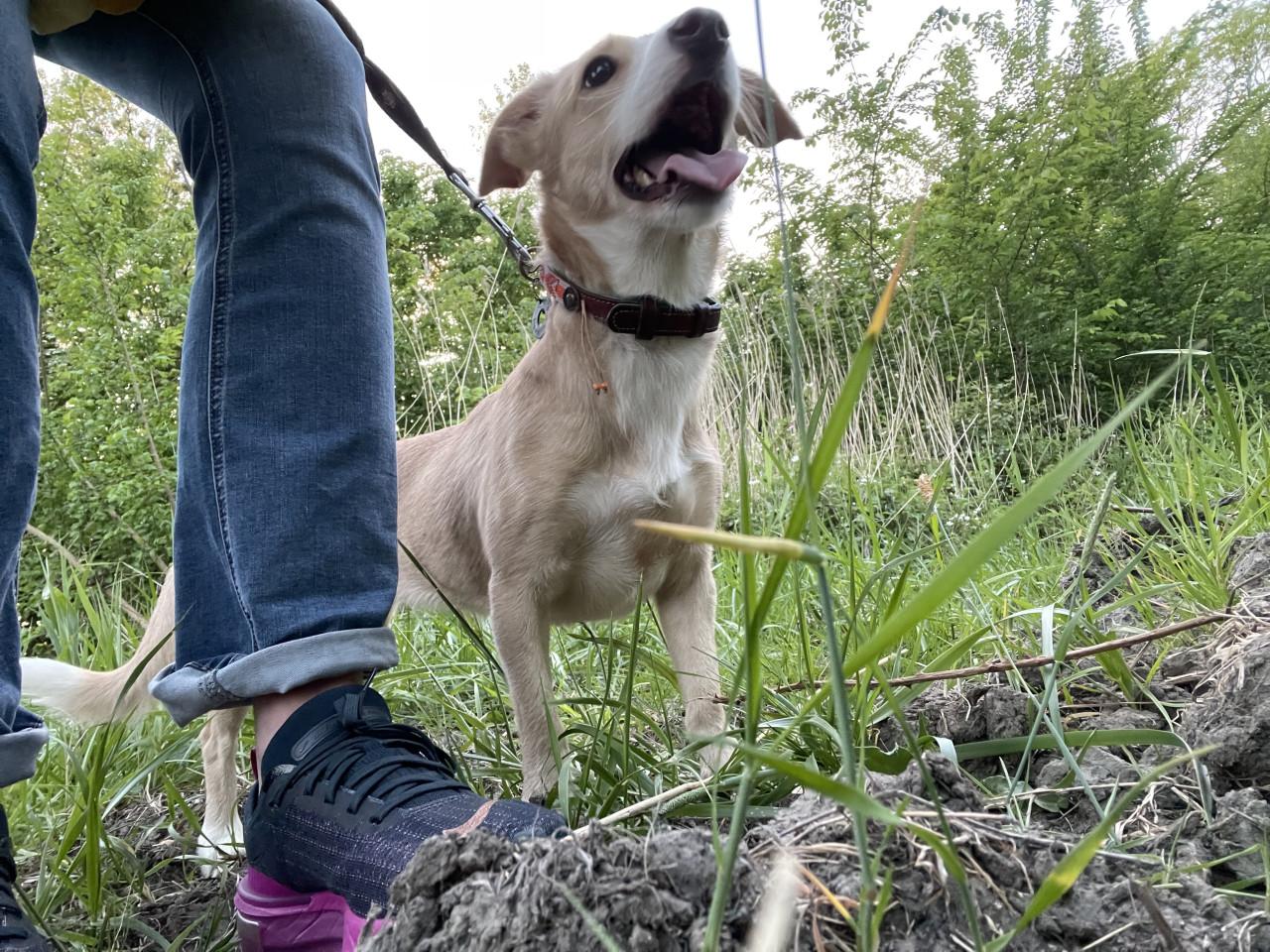 Terra zoekt een passend thuis