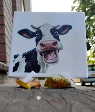 Leuke Koe tegeltjes