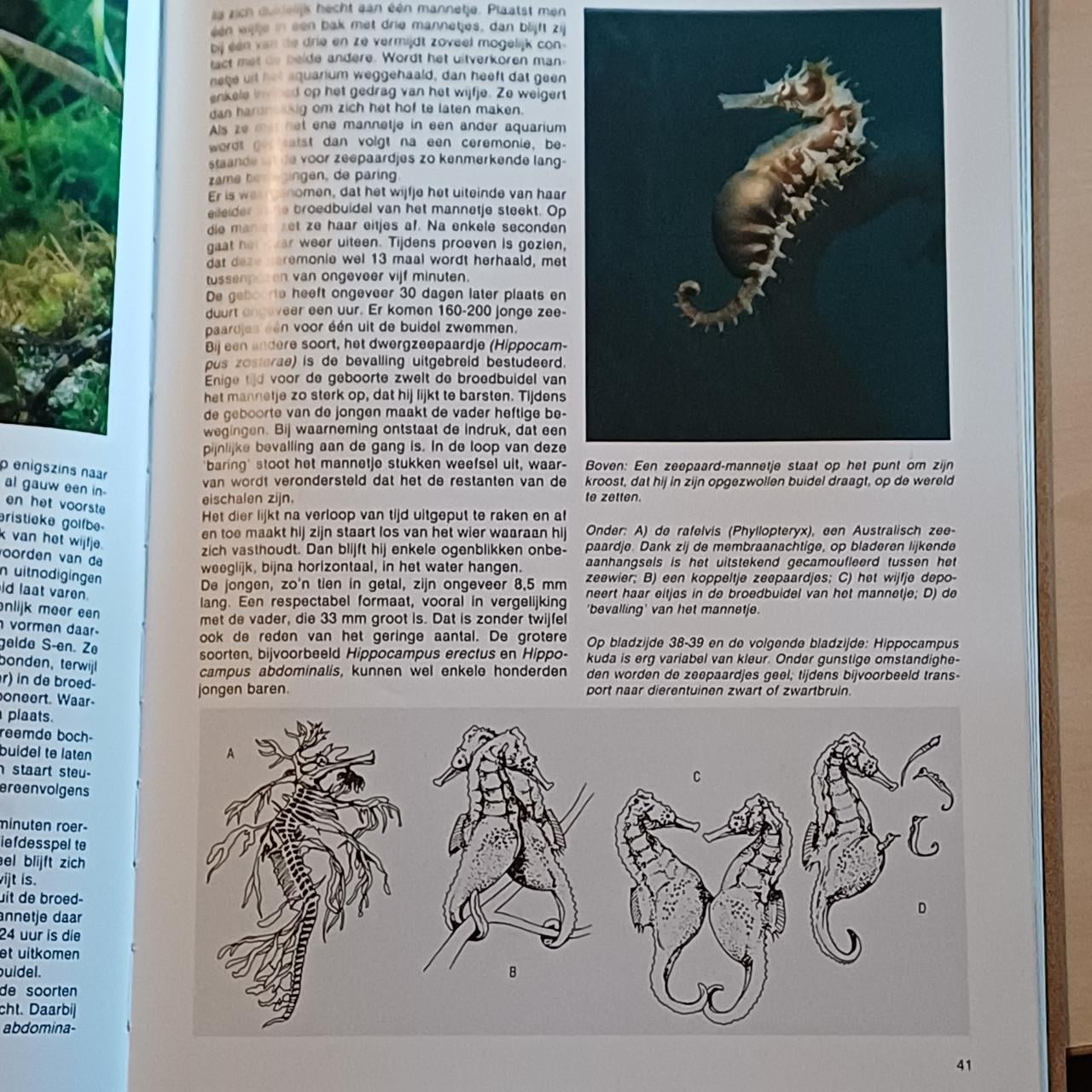 Natuur Encyclopedie