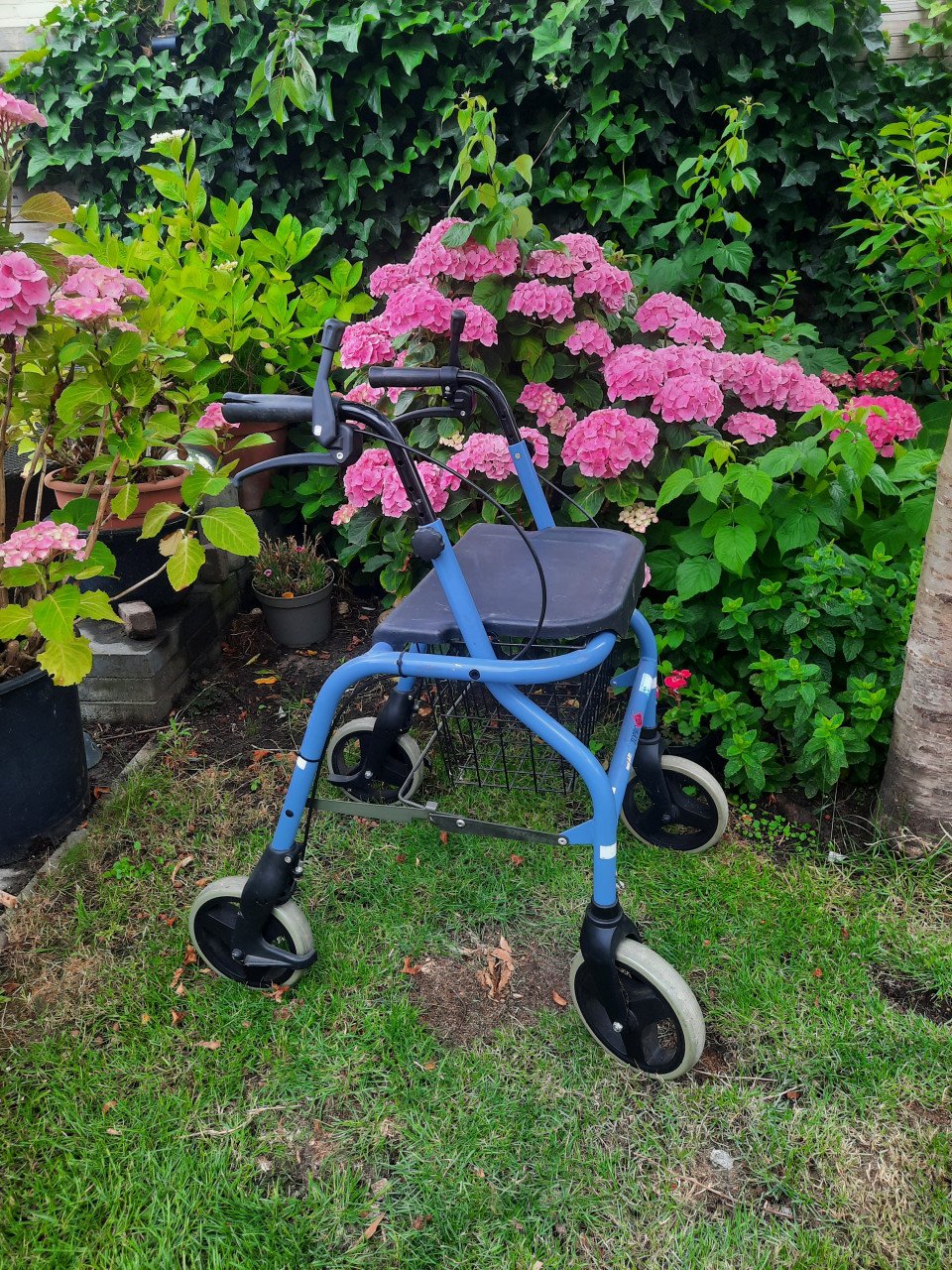 Rollator