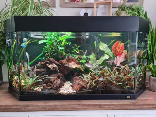 Aquarium Juwel Vision(oude type) met veel accessoires