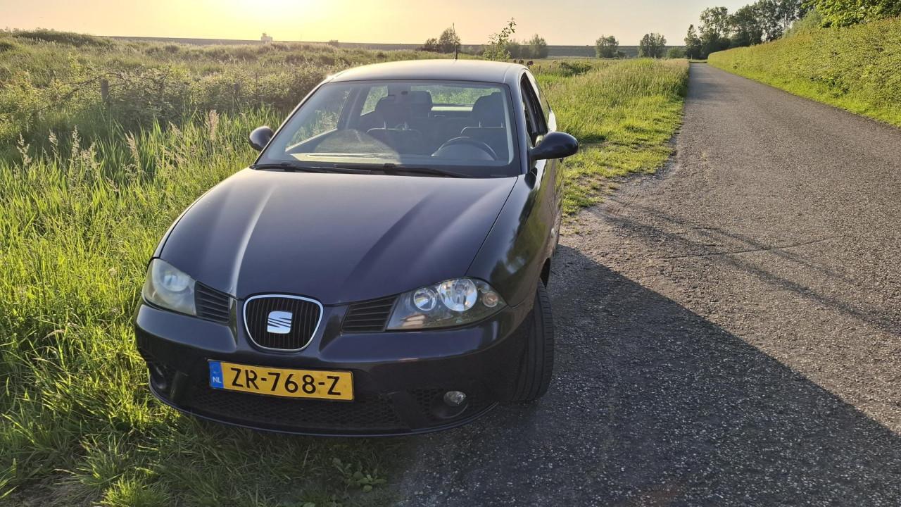 Leuke nette Seat Ibiza