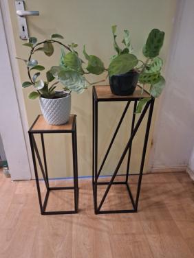 2 plantetafeltjes