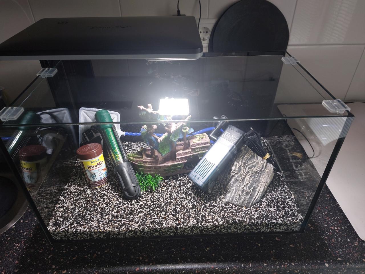 Superfisch quadro 40 nieuwstaat