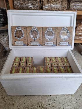 Top insect diepvriesinsecten