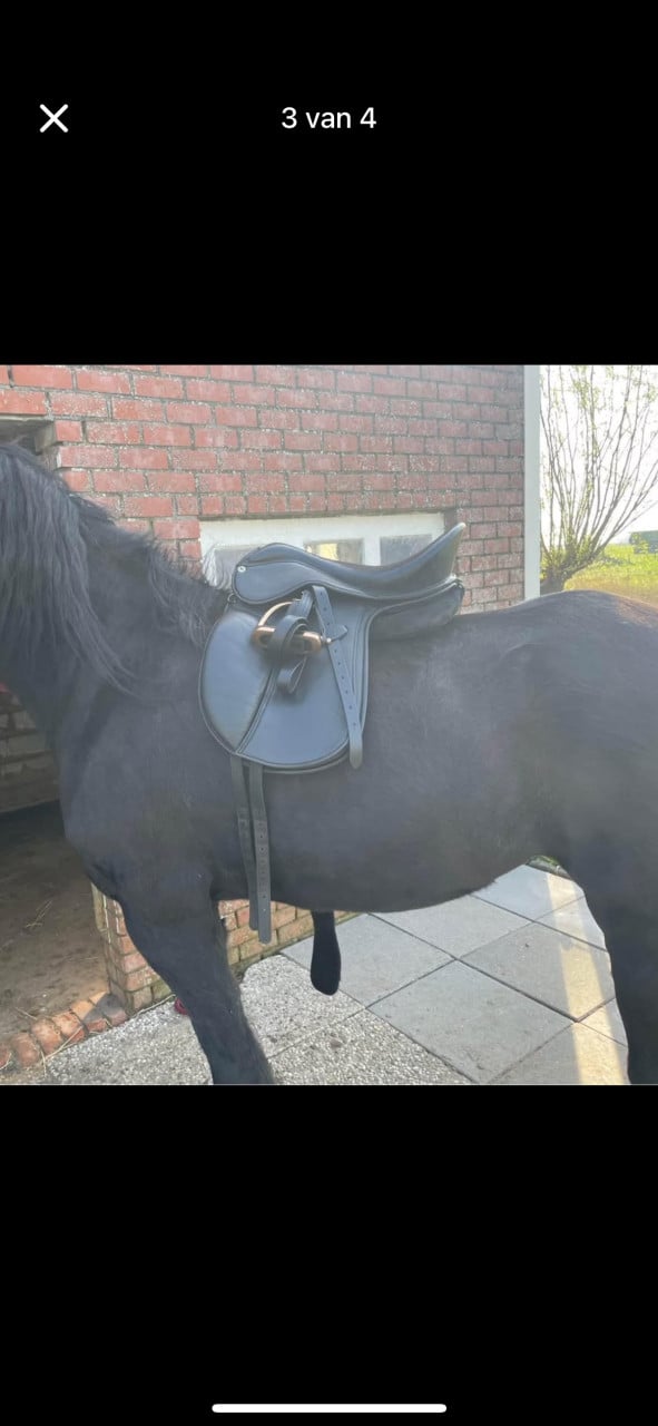 Barefoot RWC dressage zadel