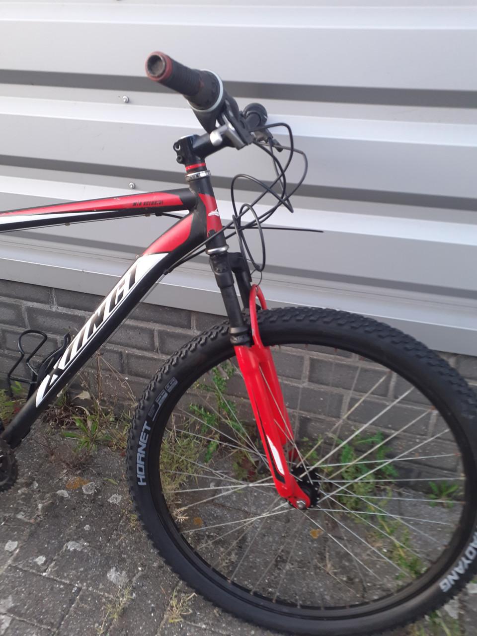 Mountainbike - XTINGI ..29inch ...& .....Diverse MTB 's