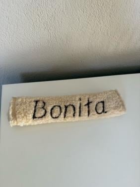 Neusbontje paard met naam Bonita
