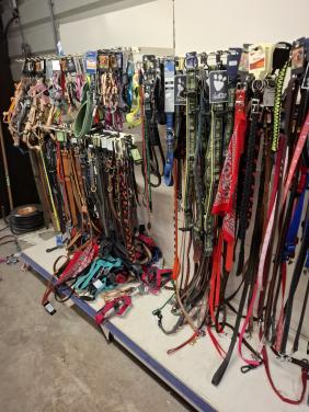 Nog een leuk sinterklaascadeau voor u huisdier??