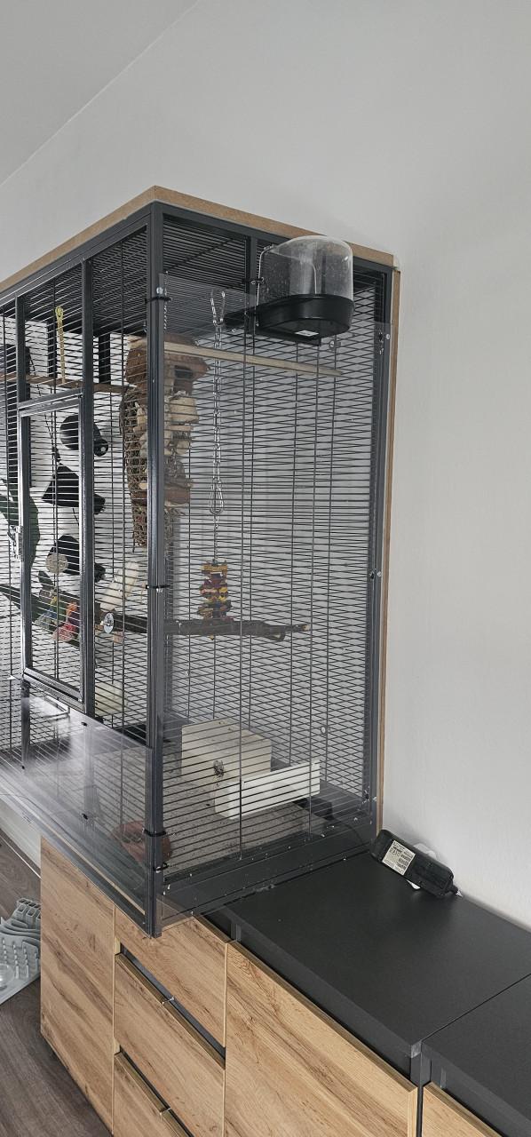 Koppeltje Agaponis fishiries met kooi