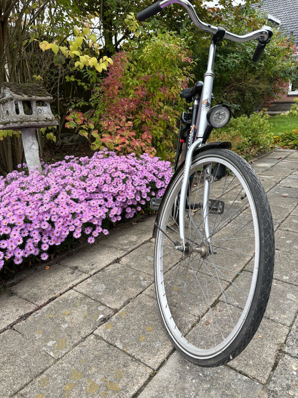 Damesfiets
