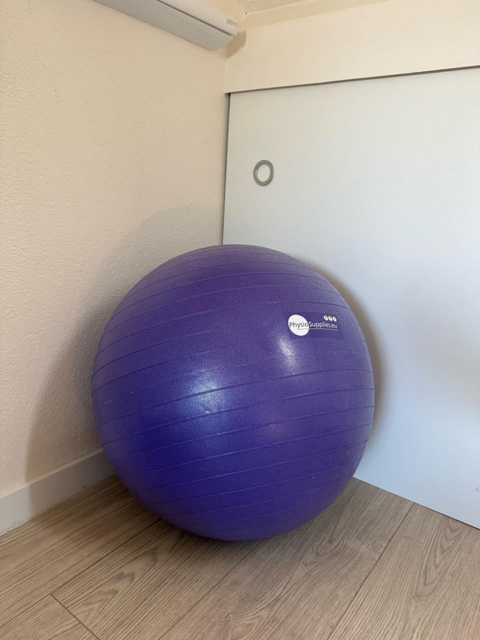Fitnessbal paars 55cm nieuw