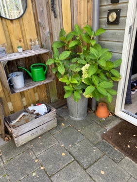 Oude zinken vuilisemmer