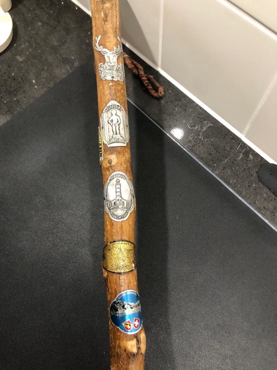Wandelstok