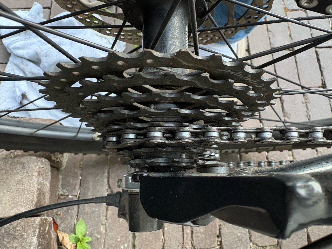 Scott MTB 29”