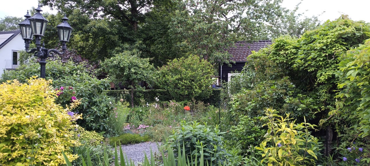 Open Tuindagen:  8 + 9 juni van 10:00 tot 18:00 ** GRATIS inkom. **