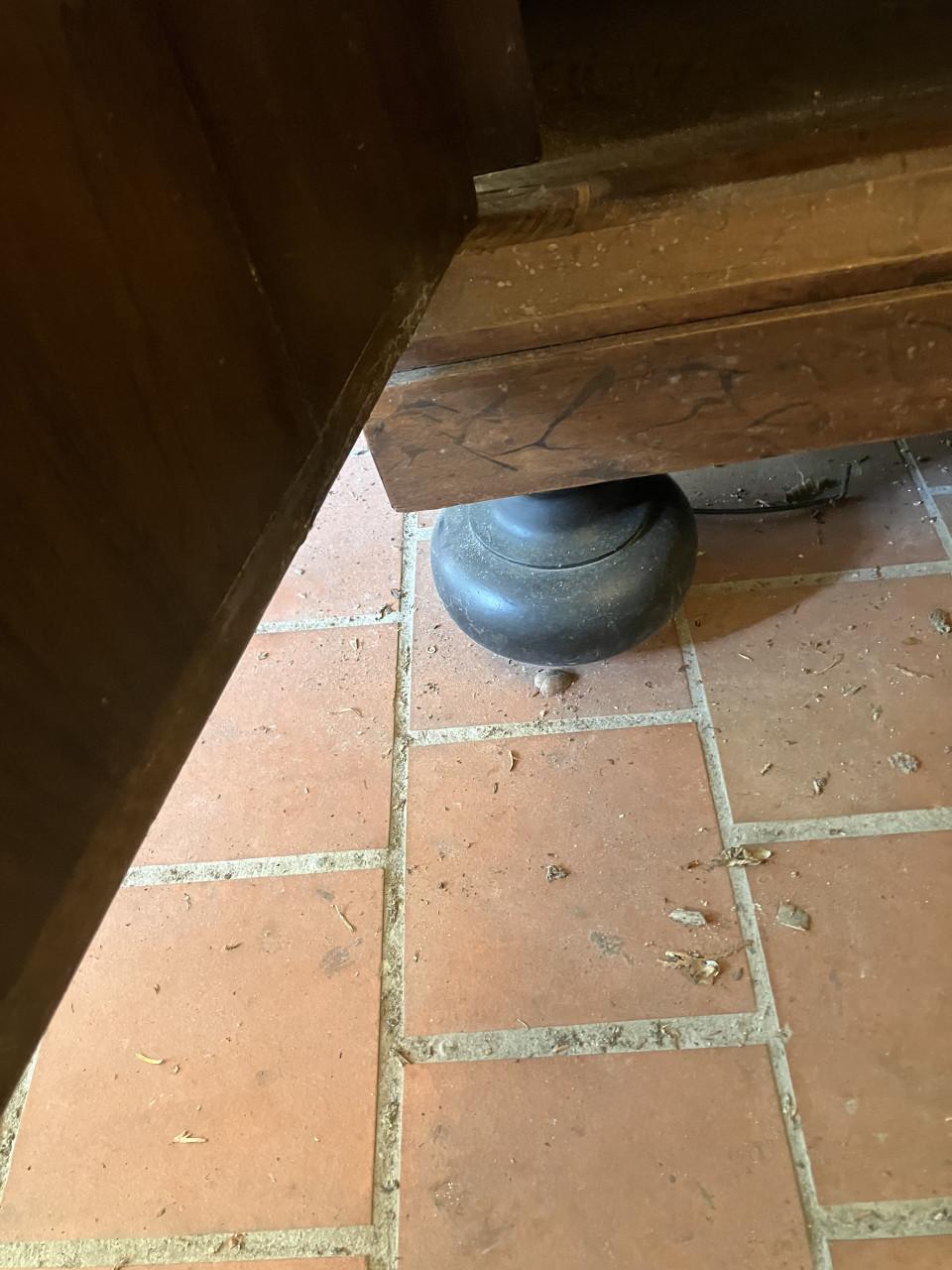 Erg mooie Drentse Eiken kast met noten/ pallisander fineer en mooi snijwerk