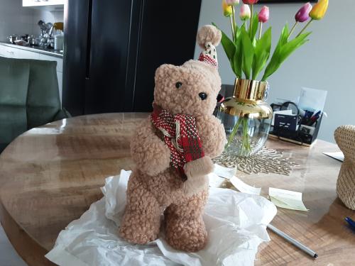 Schattige kerstberen
