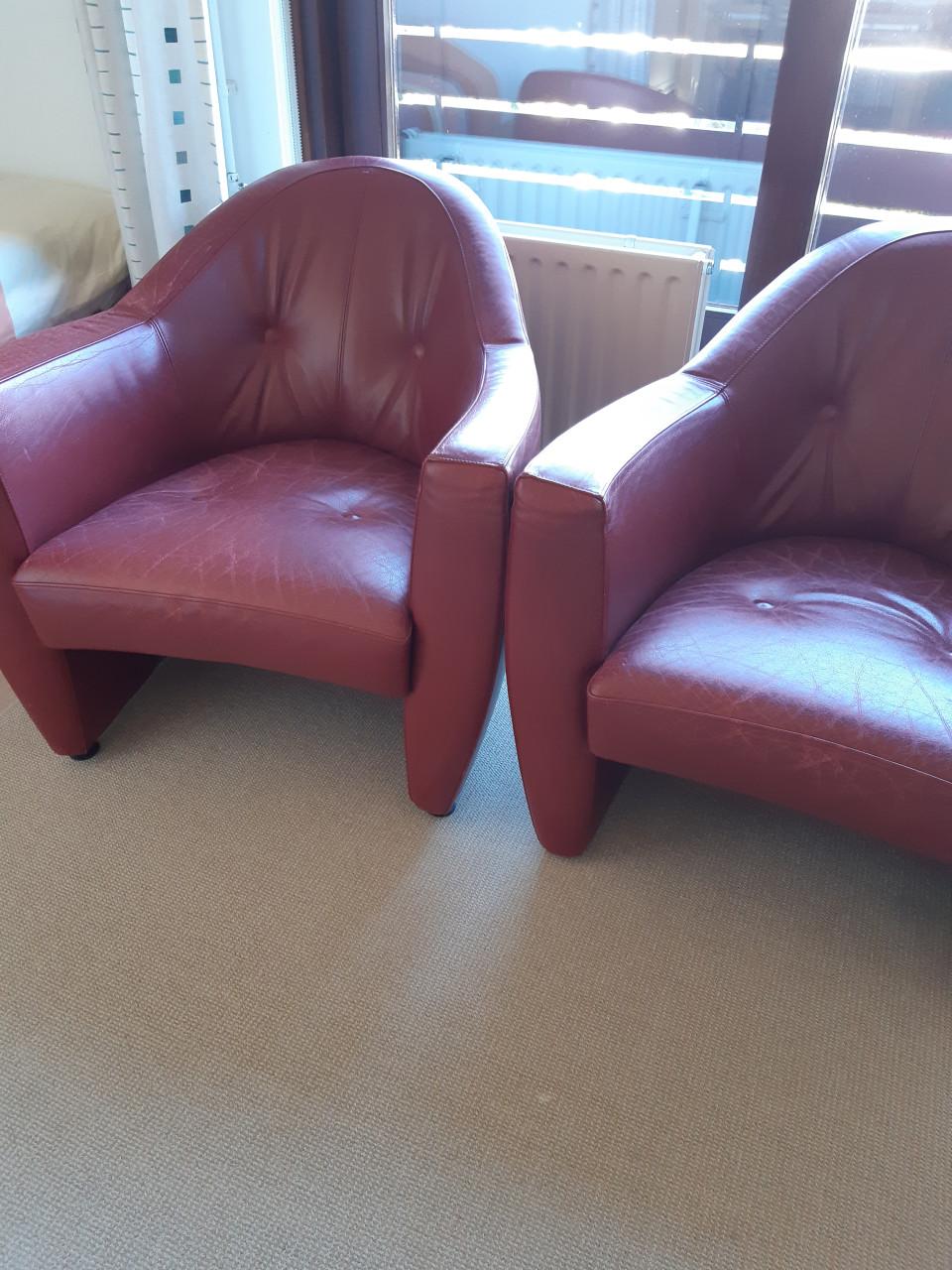 Leolux Stoelen