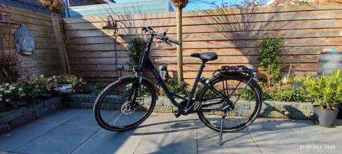 Damesfiets Pegasus