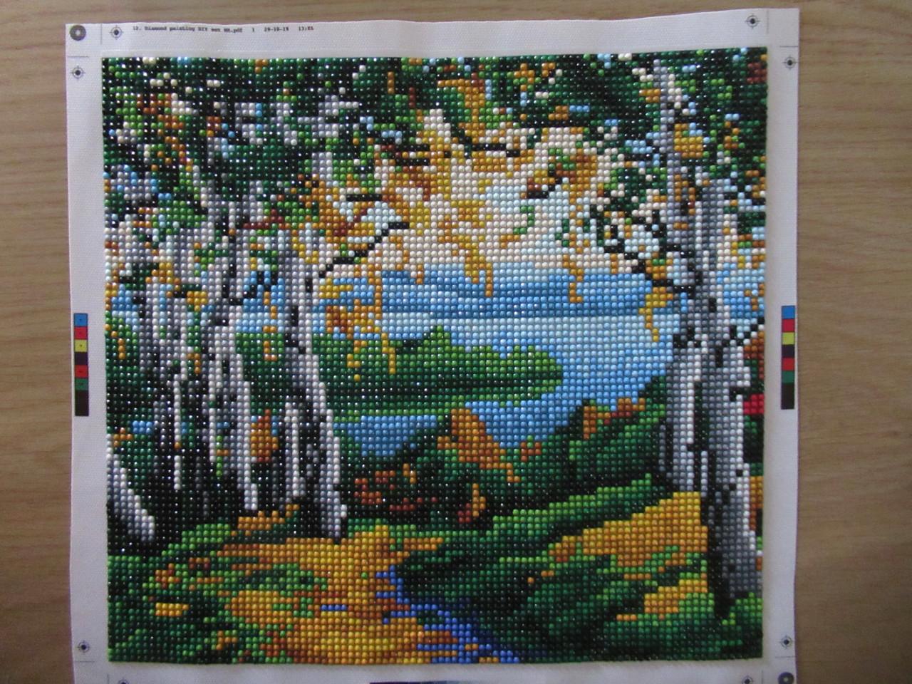 Mooie gemaakte diamond painting, Landschapsschilderijtje