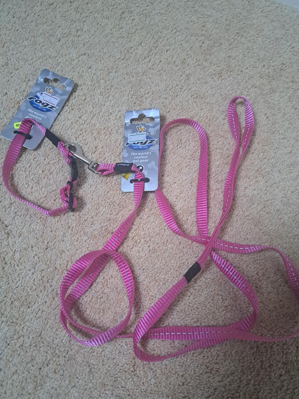 NIEUWE HALSBAND MET LOOPLIJN  MET DE KAARTJES ER NOG AAN