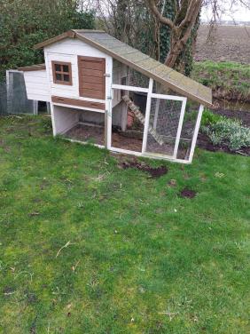 Kippen/konijnenhok