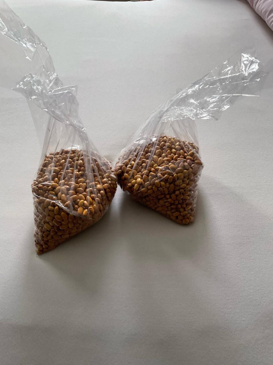 Zeeuwse kogelboontjes