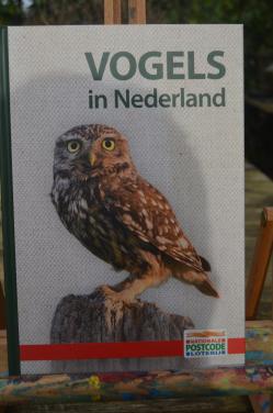 4 Boekjes Vogels, Bomen en struiken, Vlinders, Wilde bloemen planten in Nl