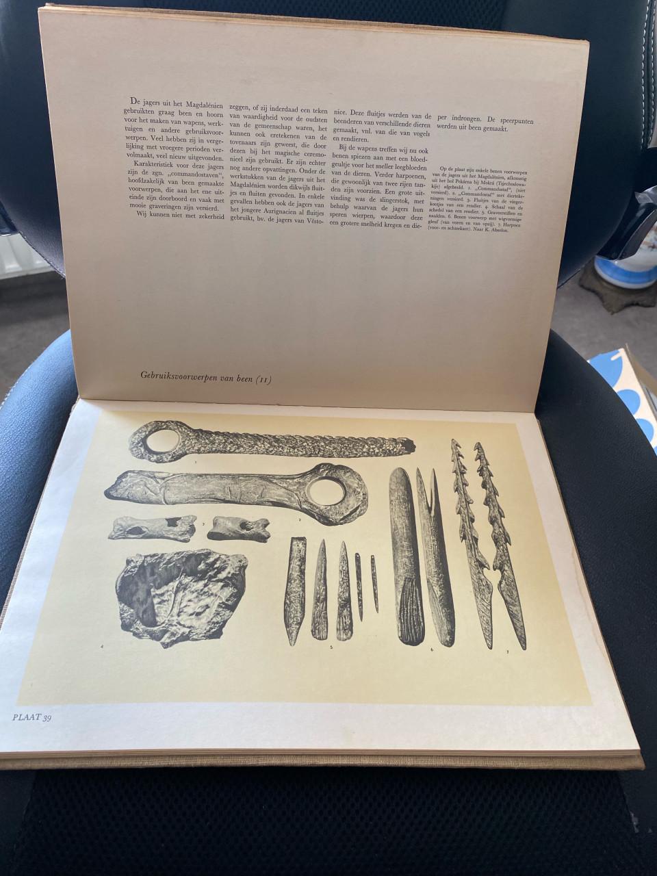 Boek uit de oertijd