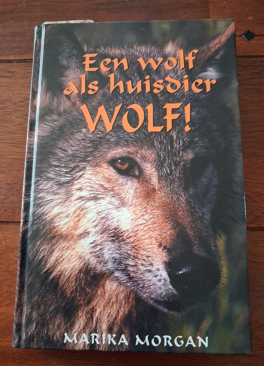Een wolf als huisdier - waargebeurd verhaal