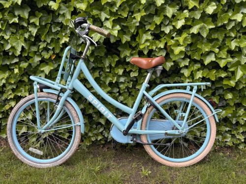Meisjesfiets 22 inch