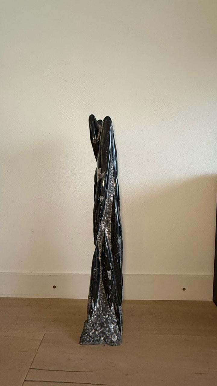 Orthoceras - fossiel van pijlstaartinvissen